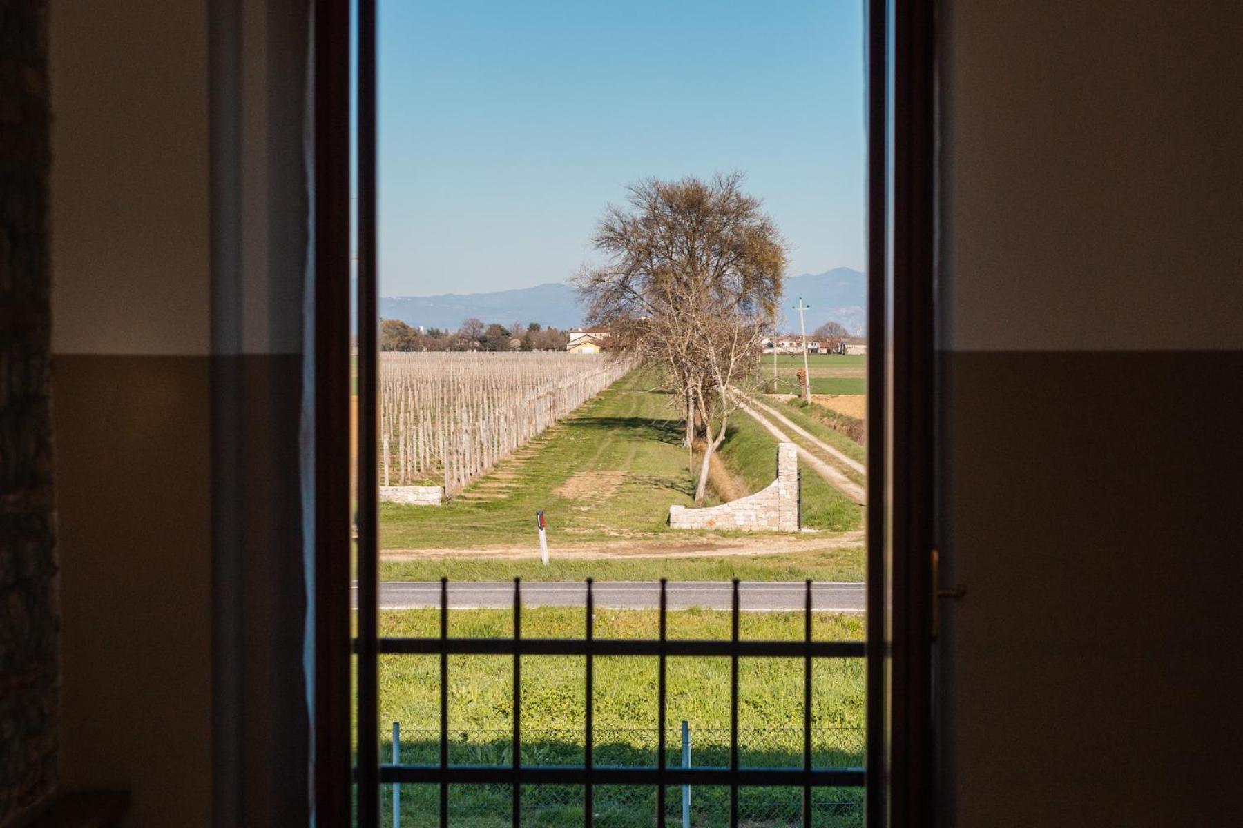 Agriturismo Mulino Delle Tolle Bagnario Arsa Dış mekan fotoğraf