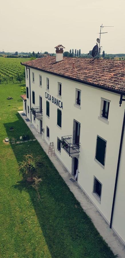 Agriturismo Mulino Delle Tolle Bagnario Arsa Dış mekan fotoğraf